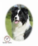 Border Collie 9T085D-101 oval